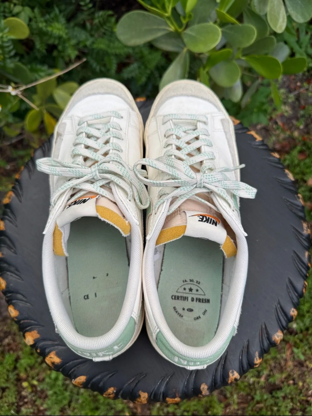 Nike Blazer Low '77 Premium 'Certified Fresh' sneakers, size 11.5